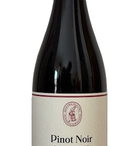 PINOT NOIR Tattendorf Thermenregion DAC 2024